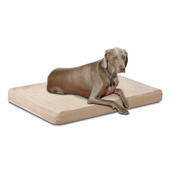 Health Care Memory Foam Pet Bed Suede