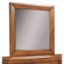 Picture of Tamarindo Mirror