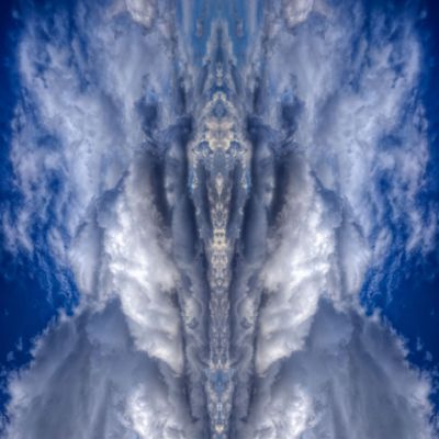 Picture of Heavy Wing 36x36 *D