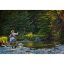 Picture of Fly Fishing Perfection-Color 48x32 *D