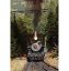 Picture of Engine #12 Making the Loop 24x36 *D