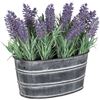 Picture of Lavender in Metal Pot