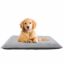 0104082_health-care-memory-foam-pet-bed.jpeg
