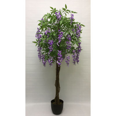 Picture of Lavender Wisteria Tree