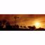 Picture of Horse Back Sunset 20x60 *D