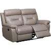 0118697_watson-light-gray-leather-reclining-loveseat.jpeg