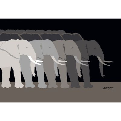 Picture of Tuskers 36x24 *D