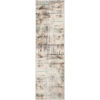 Picture of Rainier Hi Lo Etch Blue Brown Rug