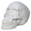 Picture of White Skull Table Top Dcor