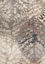 Picture of Abbey Leaf 8X11 Rug