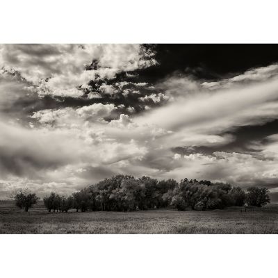 Picture of Colorado Prairie