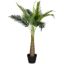 Picture of Faux Kwai Tree