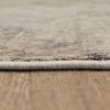 Picture of Coloma Cream 8x10 Rug