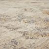 Picture of Coloma Cream 8x10 Rug