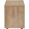 Picture of Mason Rolling File