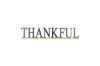 Picture of Thankful Wood Wall Sign