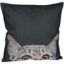 Picture of Here Kitty Kitty 18x18 Pillow *P