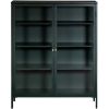 Picture of Wales Two Door Green Cabinet