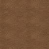 55603-SWATCH-BODY-A-500.jpg