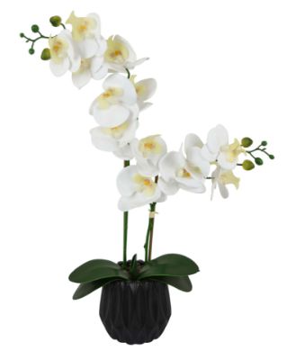 Picture of Faux Orchid In Black Pot
