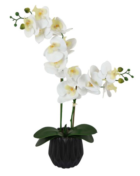Picture of Faux Orchid In Black Pot