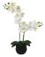 Picture of Faux Orchid In Black Pot