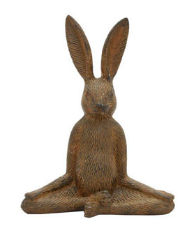 Yoga Rabbit